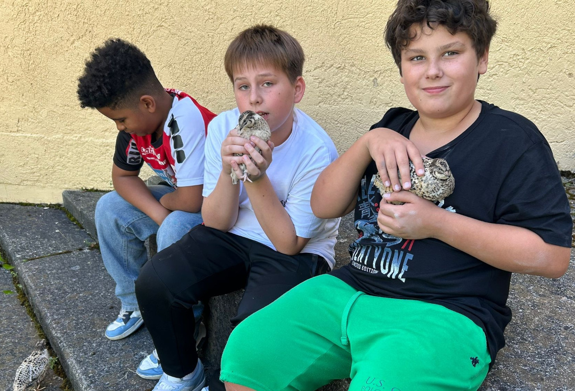 Große Jungs freuen sich an kleinen Vögeln