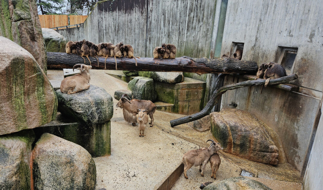 Ein spaßiger Tag in der Wilhelma