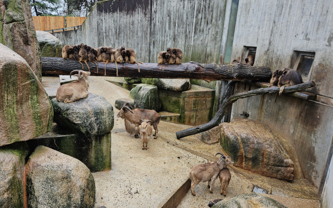 Ein spaßiger Tag in der Wilhelma